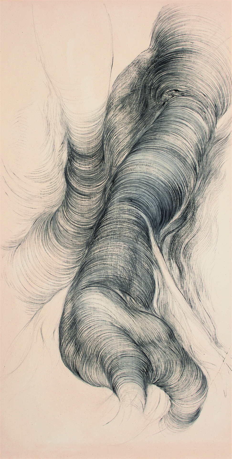 Do Jardim Tropical ao Carvão Vegetal: O Desenho na Linha das Metamorfoses I/II - Du Jardin Tropical au Fusain: Le Dessin au Fil de Ses Métamorphoses I/II Desenho abstrato a carvão com linhas curvas e texturizadas em papel creme