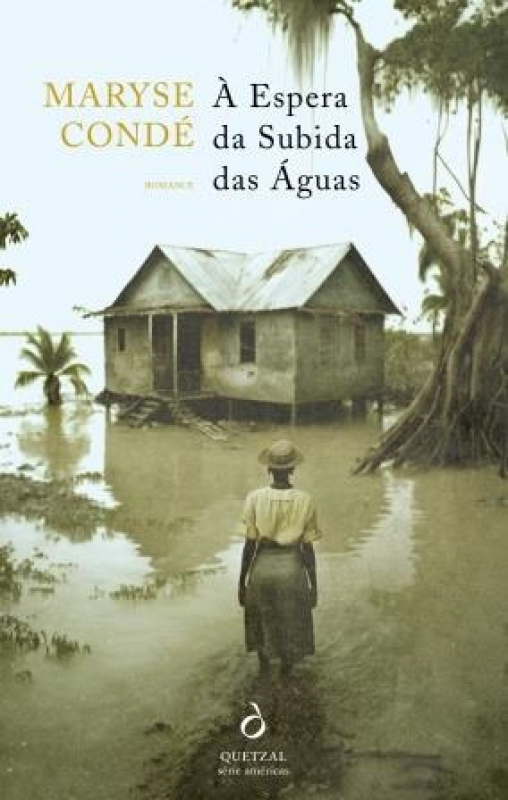 À Espera da Subida das Águas Capa de livro com mulher de costas caminhando para casa de madeira em área alagada