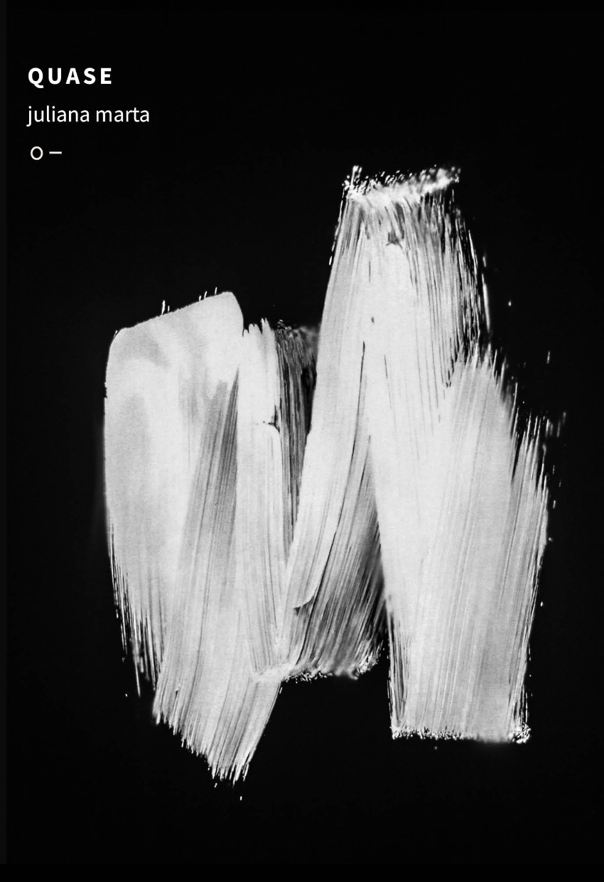 Quase Capa de livro preta com pinceladas brancas e texto em branco.