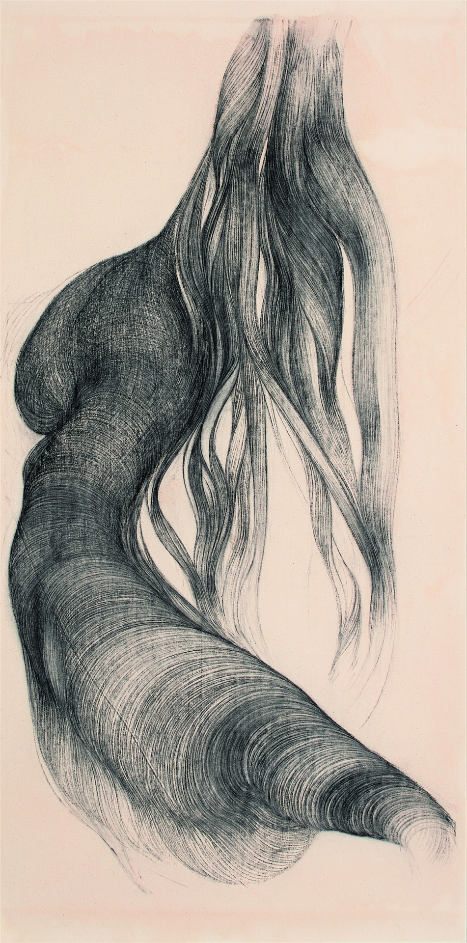 Do Jardim Tropical ao Carvão Vegetal: O Desenho na Linha das Metamorfoses I/II - Du Jardin Tropical au Fusain: Le Dessin au Fil de Ses Métamorphoses I/II Desenho em preto e branco de corpo feminino nu de costas com cabelo longo