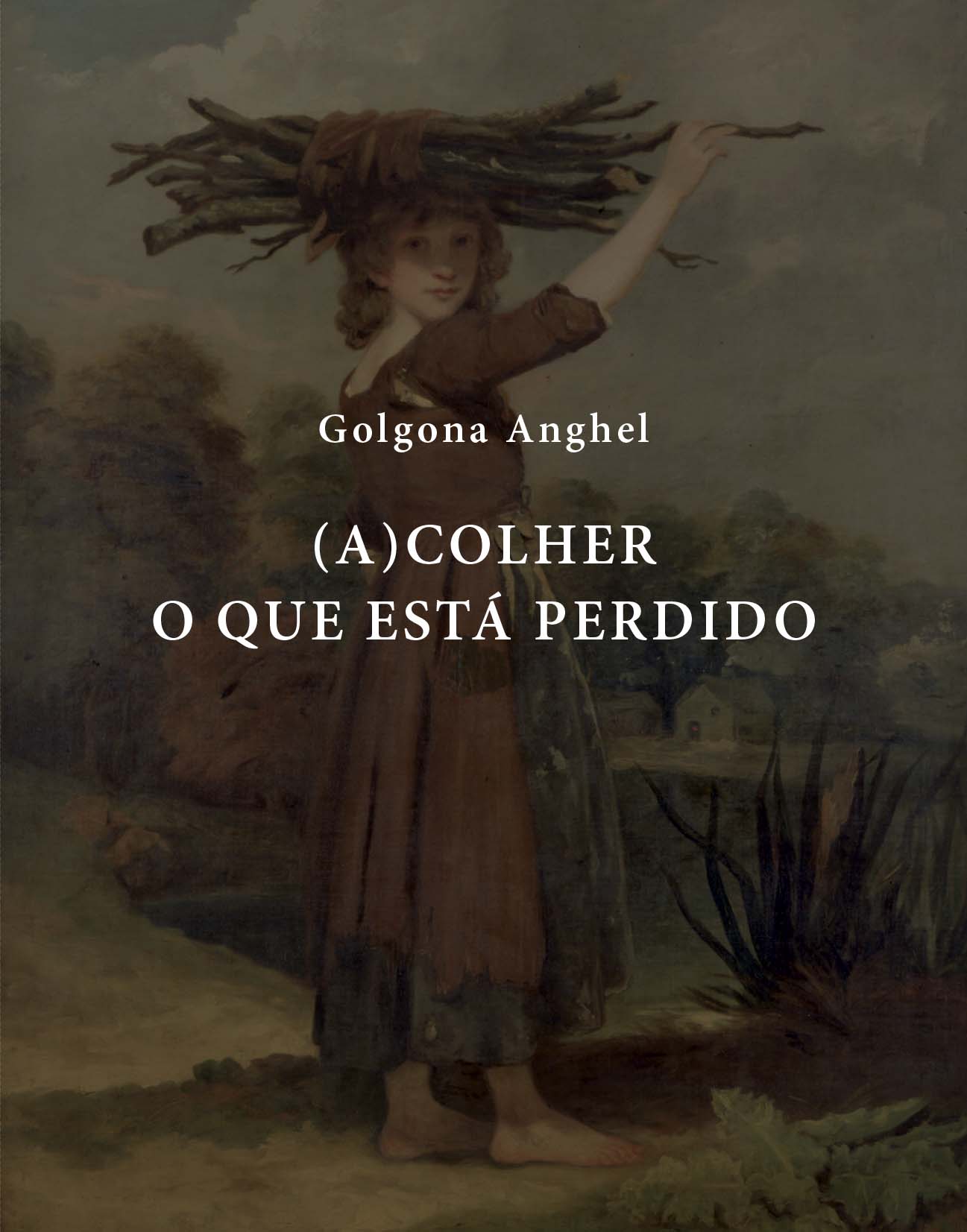 (A)colher o que está perdido Capa de livro com jovem segurando lenha na cabeça em cenário rural e texto do título
