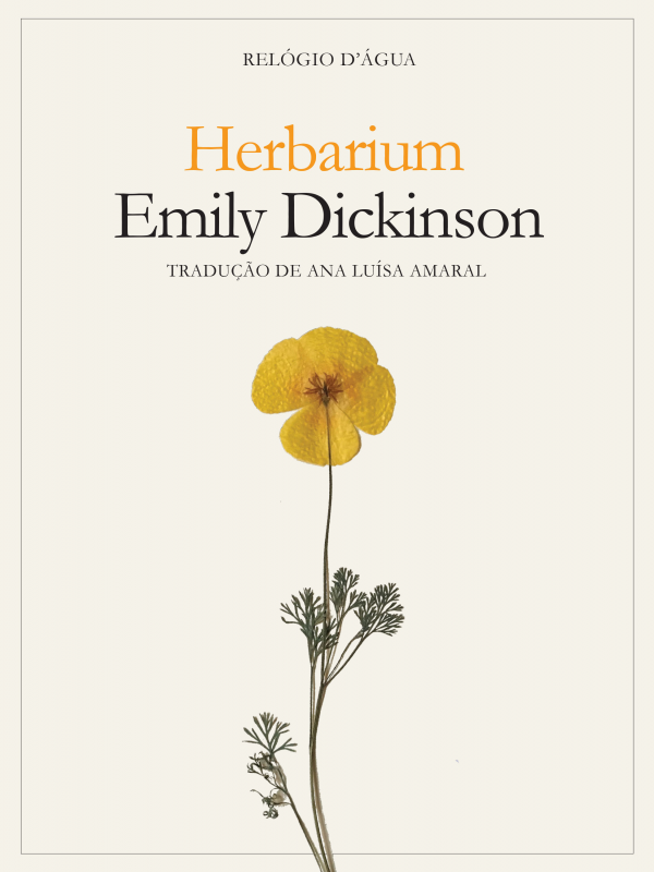 Herbarium Capa de livro Herbarium de Emily Dickinson com flor amarela prensada e texto em português