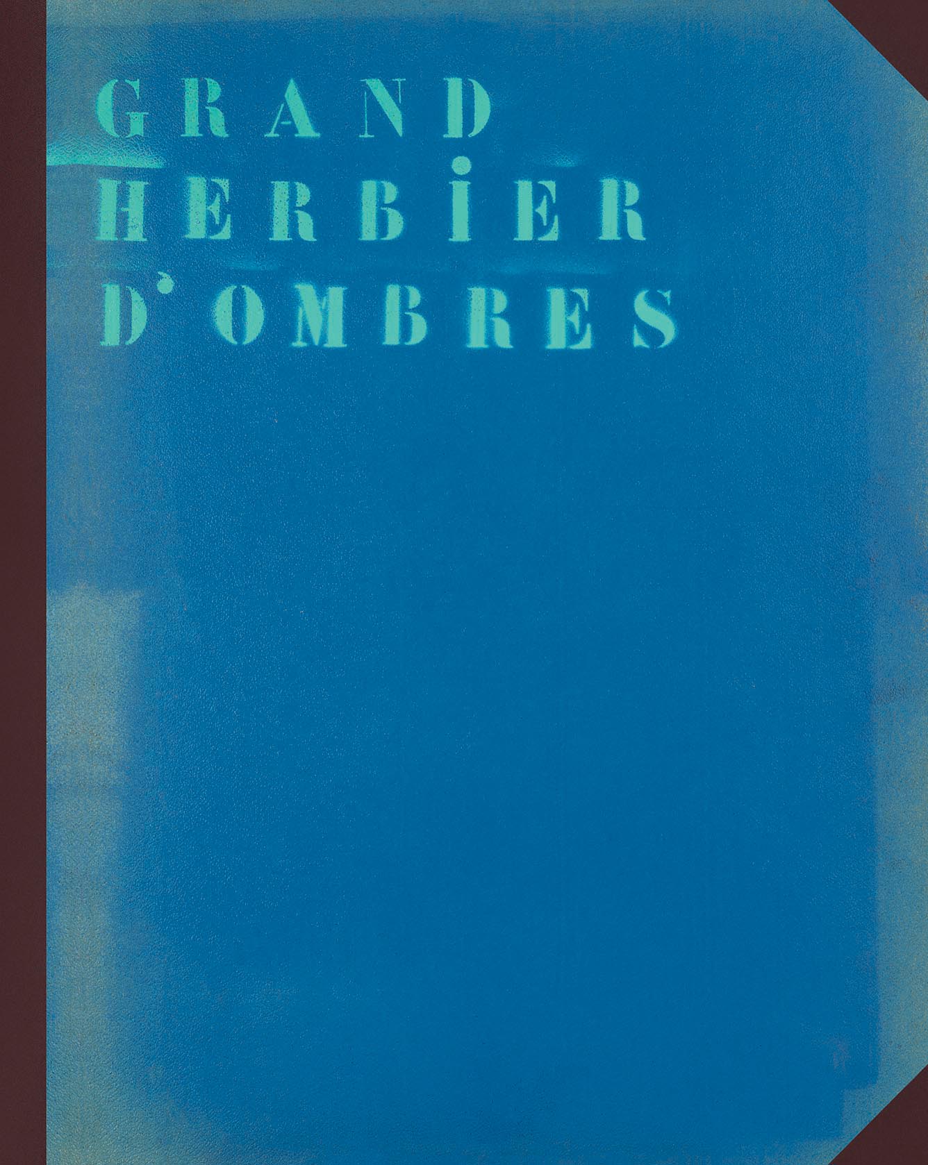 Grand herbier d’ombres Livro azul com texto verde e cantos castanhos