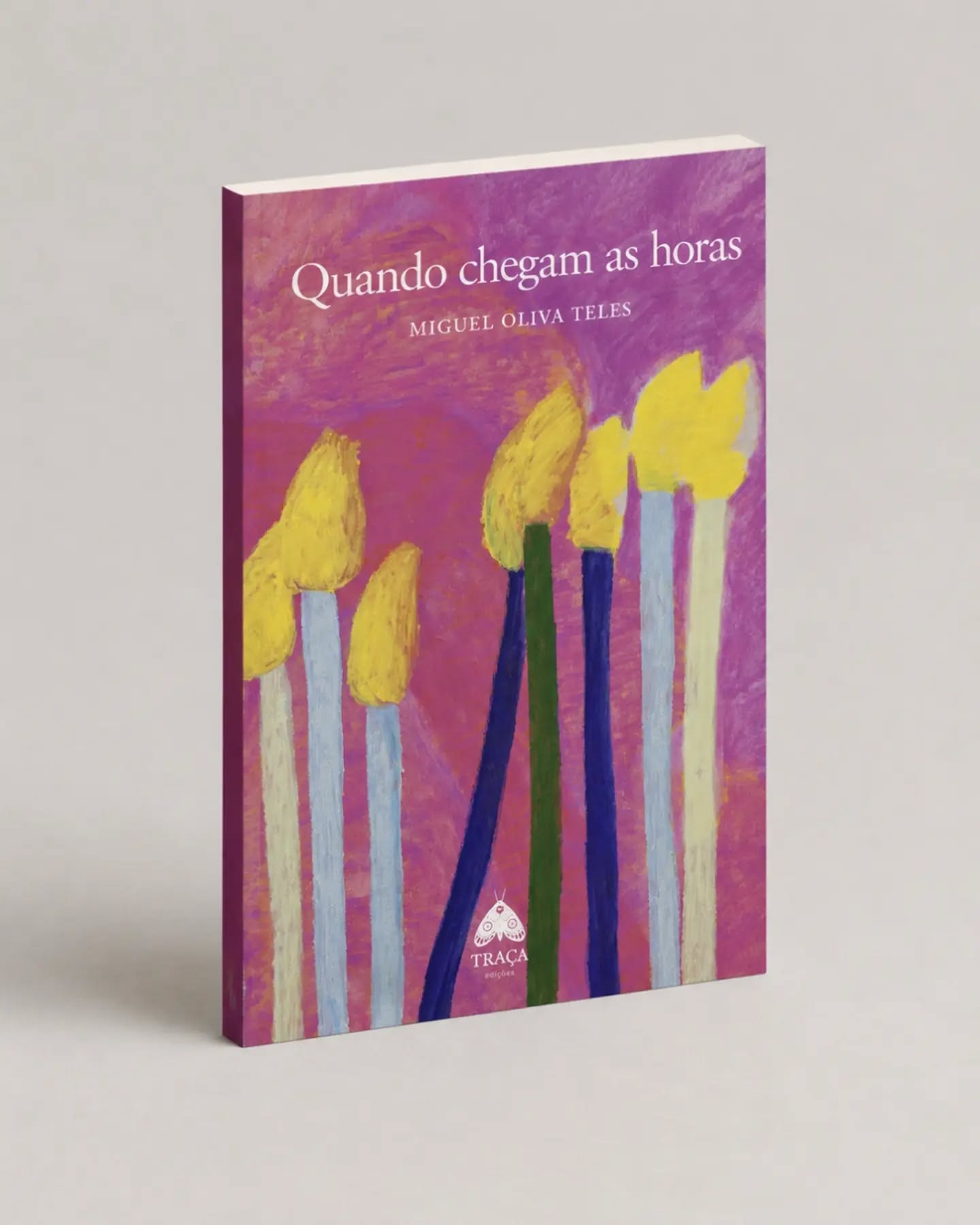 Quando chegam as horas Livro com capa roxa e fósforos amarelos pintados, título quando chegam as horas