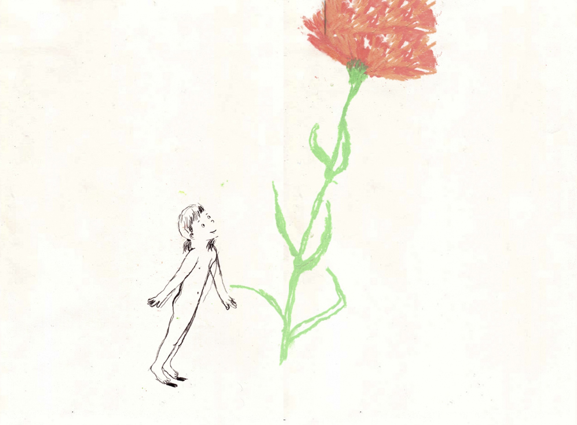 Cadernos 20/21: Manual Anti-angústia - Aldina Duarte Desenho de flor vermelha com figura humana esboçada, fundo branco