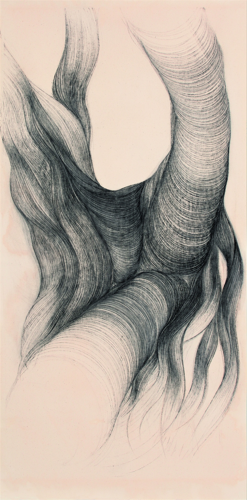 Do Jardim Tropical ao Carvão Vegetal: O Desenho na Linha das Metamorfoses I/II - Du Jardin Tropical au Fusain: Le Dessin au Fil de Ses Métamorphoses I/II Desenho artístico a preto e branco com formas orgânicas curvas em papel