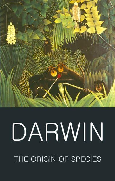 The Origin of Species Capa de livro com ilustração de macacos e vegetação e texto DARWIN THE ORIGIN OF SPECIES