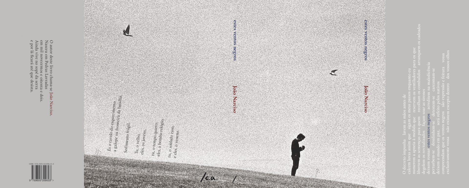 estes ventos negros Capa de livro cinzenta com texto e silhueta de pessoa e pássaros