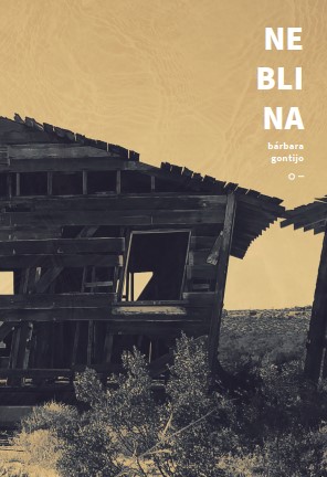 Neblina Livro com título NEBLINA e autor bárbara gontijo com imagem de cabanas de madeira antigas em ambiente natural.