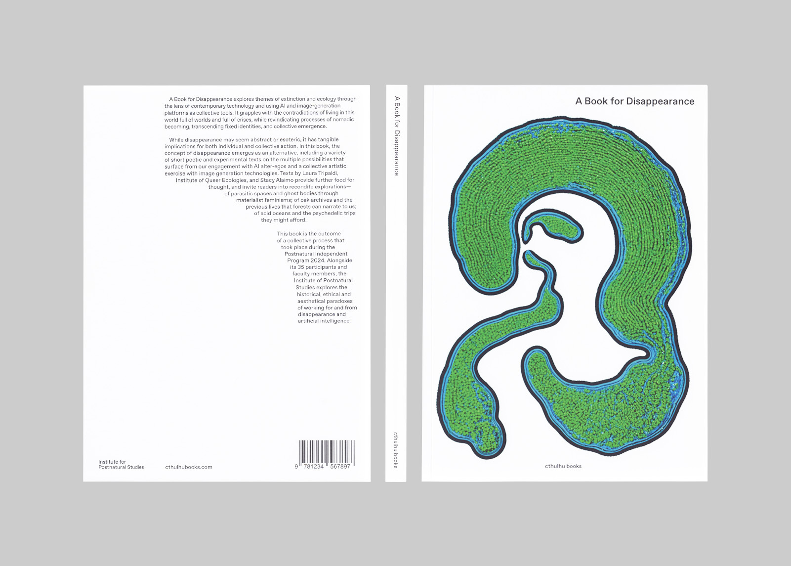 A Book for Disappearance Capa e contracapa de livro A Book for Disappearance com ilustração abstrata verde e azul