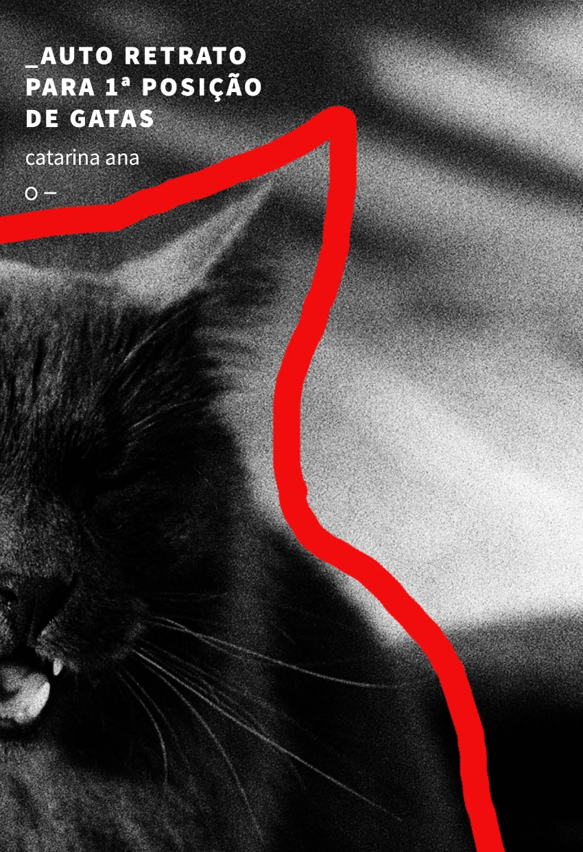 Auto retrato para 1ª posição de Gatas Capa de livro com fotografia a preto e branco de um gato e texto em branco no canto superior esquerdo