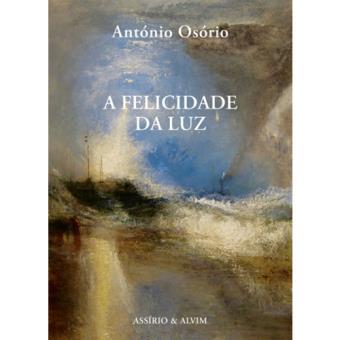 A Felicidade da Luz Capa do livro 'A FELICIDADE DA LUZ' com fundo abstrato em azul e castanho