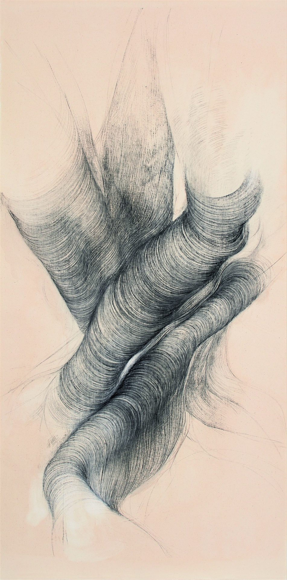 Do Jardim Tropical ao Carvão Vegetal: O Desenho na Linha das Metamorfoses I/II - Du Jardin Tropical au Fusain: Le Dessin au Fil de Ses Métamorphoses I/II Desenho artístico de formas orgânicas em linhas finas sobre fundo bege