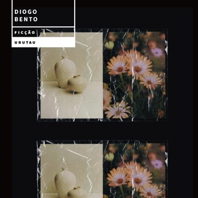 Capa de livro com texto e imagens de vasos cerâmicos e flores em fundo preto
