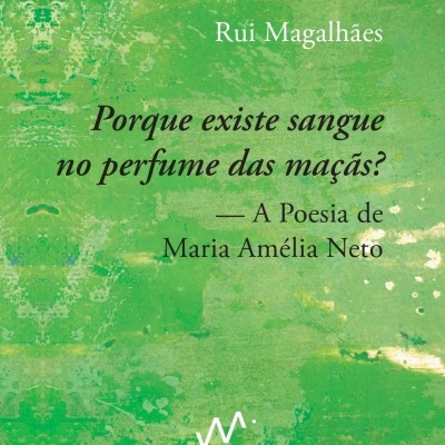 Capa de livro verde com texto em preto e branco