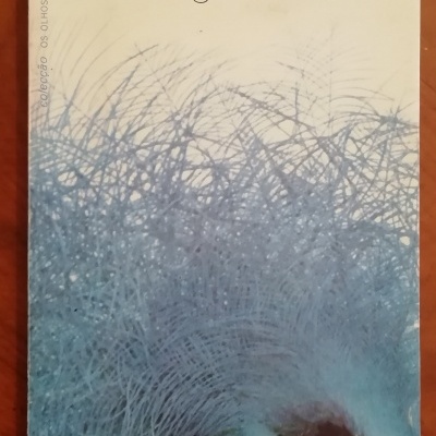 Capa de livro com ilustração de pássaro azul e texto em português