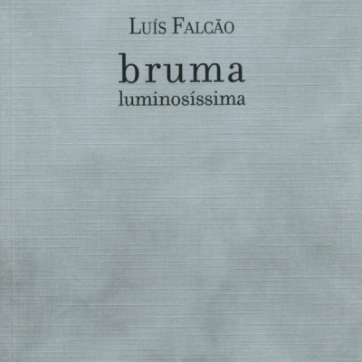 Capa de livro cinzenta com texto preto