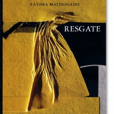 Capa de livro com texturas amarelas e pretas e texto RESGATE