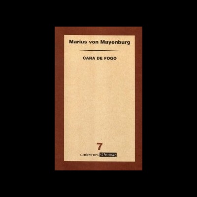 Capa de livro beige e castanha com título e autor