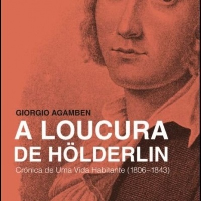 Capa de livro A Loucura de Hölderlin com retrato em sépia de homem e texto em branco sobre fundo cor tijolo.
