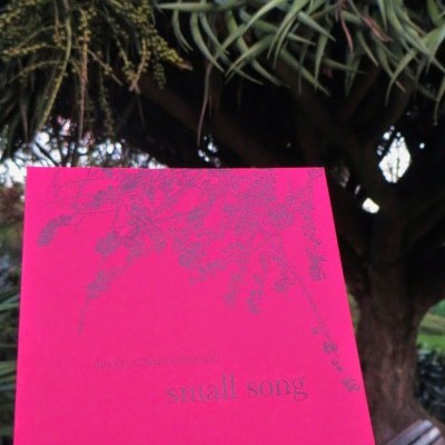 Livro rosa com texto 'small song' e ilustração de ramos, ao ar livre perto de árvore e banco.