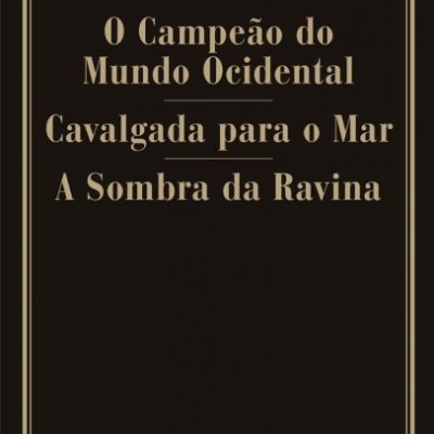 Capa de livro preta com texto em dourado com títulos e autor