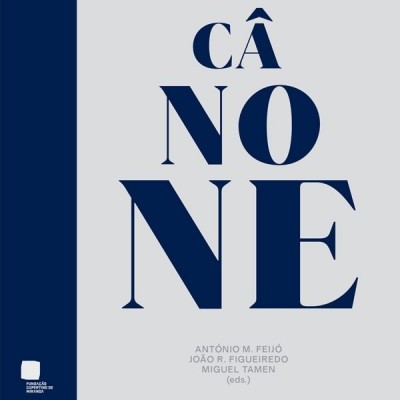 Capa de livro cinzenta com texto azul e cinzento