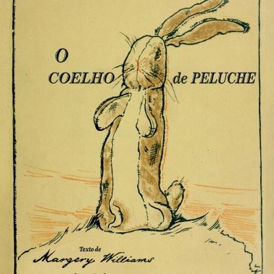 Capa de livro amarelo com ilustração de coelho e texto em português