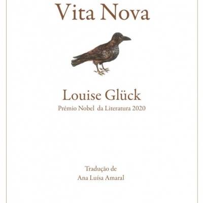 Capa de livro 'Vita Nova' com corvo e texto em castanho sobre fundo branco