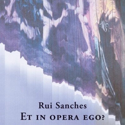 Capa de livro com pintura clássica e texto 'Rui Sanches ET IN OPERA EGO? DOCUMENTA'.