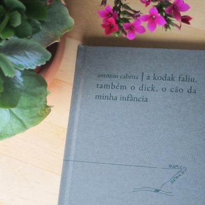 Livro com capa cinzenta dura ao lado de planta com flores cor-de-rosa num vaso de barro