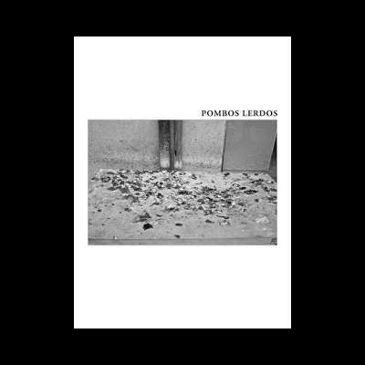 Superfície de cimento com fezes de pombos e penas sob parede com porta metálica e texto POMBOS LERDOS