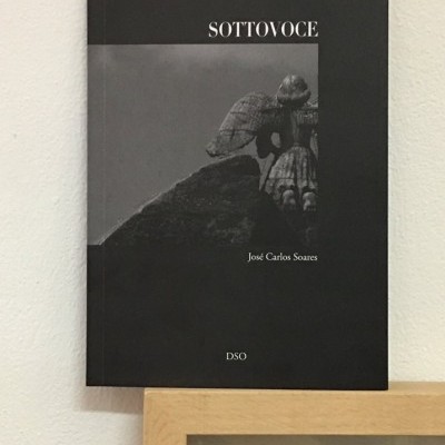 Livro SOTTOVOCE com imagem de escultura em capa preta