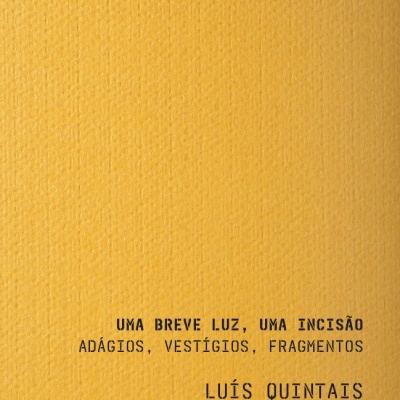 Capa de livro amarelo com texto preto de Luís Quintais