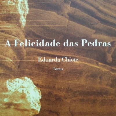 Capa de livro com título A Felicidade das Pedras em letras brancas sobre fundo castanho com textura de pedra.