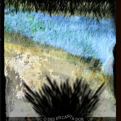 Imagem abstrata com texturas e sombra de folhas com texto 'O DES EN CANTA DOR'