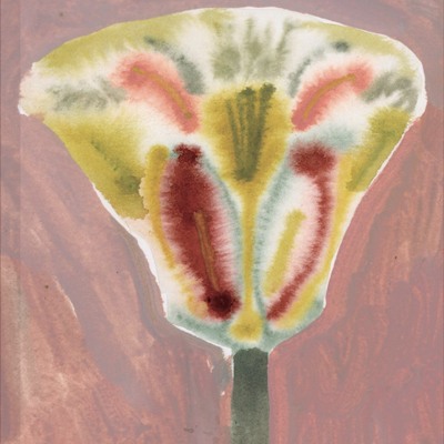 Capa de livro com título Linea Nigra e ilustração abstrata de flor