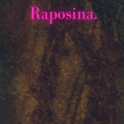 Capa de livro escura com flores e texto rosa 'Raposina.' e 'Salomé Honório'