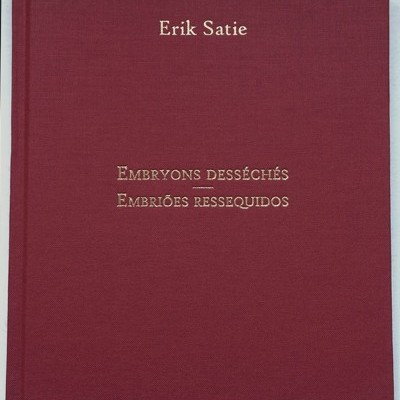 Livro de capa dura bordô com título dourado