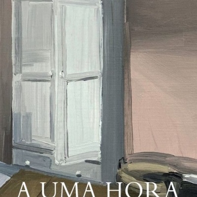 Capa de livro com armário cinzento e texto branco