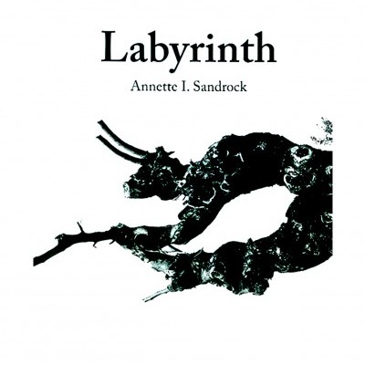 Capa do livro Labyrinth de Annettte I. Sandrock com imagem abstrata preta sobre fundo branco.