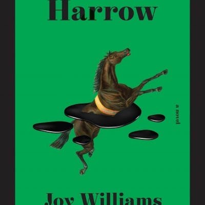 Capa de livro verde com cavalo castanho e texto preto