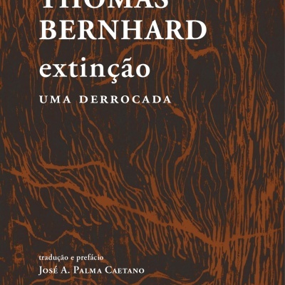 Capa de livro Extinção, Thomas Bernhard, com padrão castanho e preto