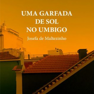 Capa de livro com título e céu alaranjado ao pôr do sol