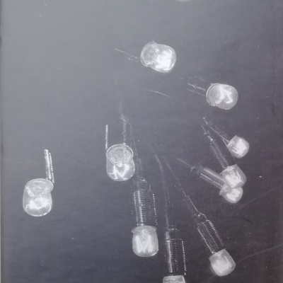 Capa de livro preta com lâmpadas LED desenhadas e textos em branco.