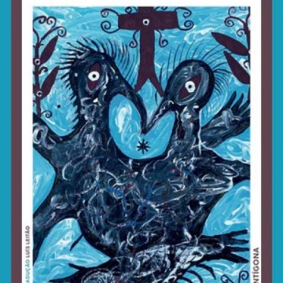 Capa do livro 'O GRITO DOS PÁSSAROS LOUCOS' com ilustração azul e preta de dois pássaros e texto em branco e azul.