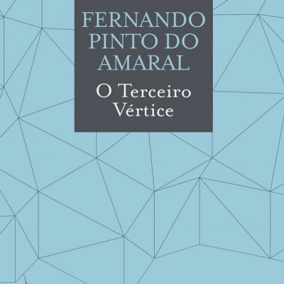 Capa de livro azul claro com linhas geométricas e texto 'FERNANDO PINTO DO AMARAL O Terceiro Vértice'.