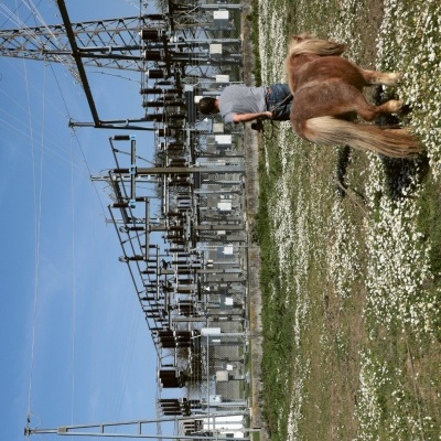 Criança a cavalo em campo florido perto de subestação elétrica