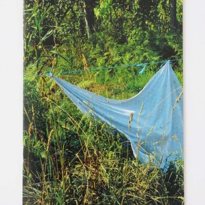 Folheto com imagem de rede azul em vegetação