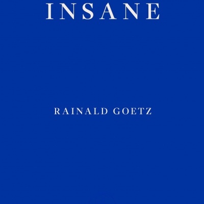 Capa de livro azul com título INSANE em branco